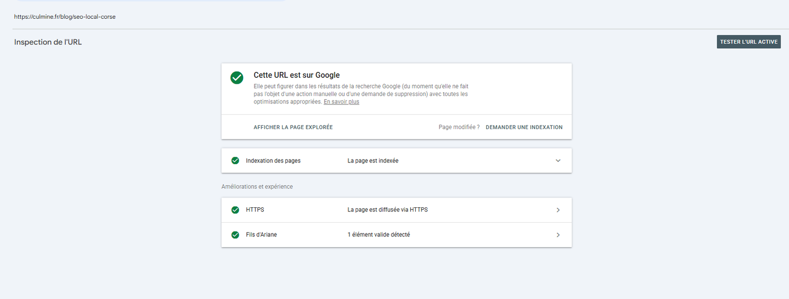 Interface Google Search Console indexation site web Corse audit SEO