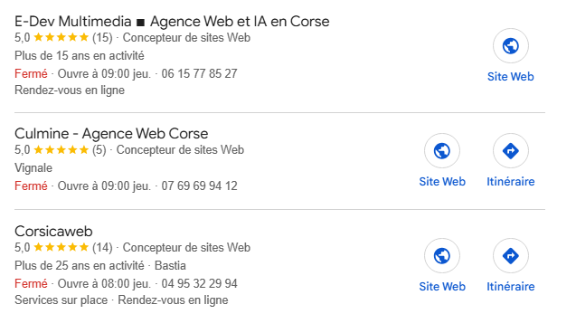 Fiche Google My Business d'un artisan à Bastia affichée sur smartphone